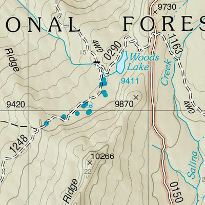 Fishlake National Forest, Woods Lake, UT 13 Preview 2