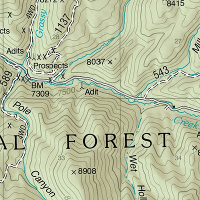 Fishlake National Forest, Pole Mountain, UT 54 Preview 3