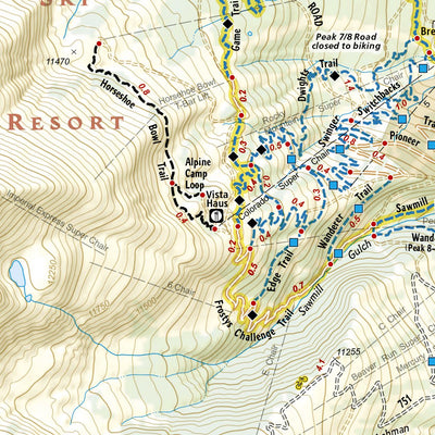 606 Breckrindge Local Trails (Wheeler & Sawmill Gulch Inset) Preview 3