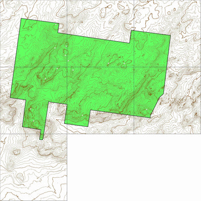 Bald Rock National Park (south) NSW TOPO Preview 1