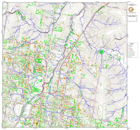 404_6786_Tenterfield_VEGETATION Preview 1