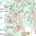 Ophir Goldfield Preview 3