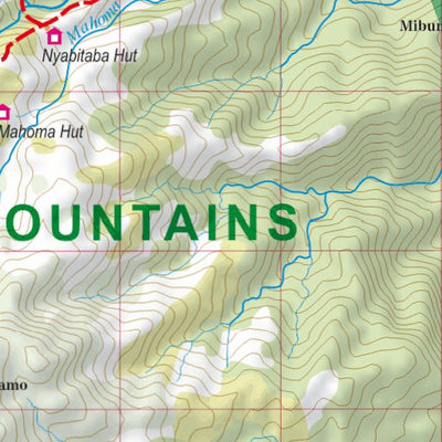 Rwenzori 1:100 000 Preview 2