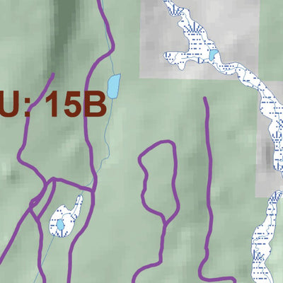 Jesse Lake Bathymetry and Fishing Map Preview 2