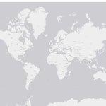 World Map (light gray) Preview 1