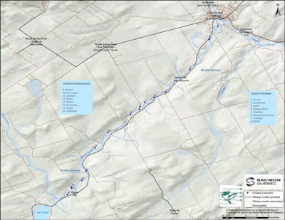 Rivière_Humqui_SaumonQC Preview 1