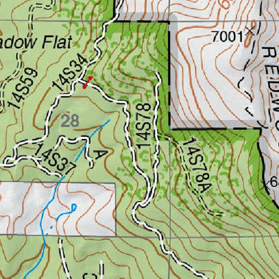 General Grant Grove Preview 2