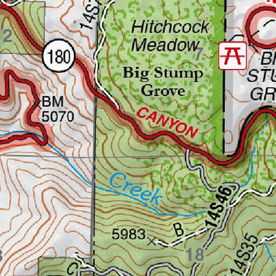 General Grant Grove Preview 3