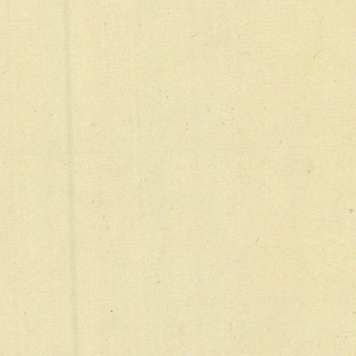 BIACESA 024-07 Preview 2