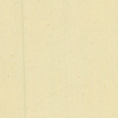 BIACESA 024-06 Preview 2