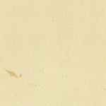 BRENTONICO 044-03 Preview 2