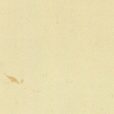 BRENTONICO 044-03 Preview 2