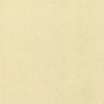 BRENTONICO 044-03 Preview 3