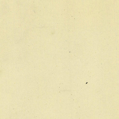 BRENTONICO 044-37 Preview 2