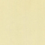 BRENTONICO 044-36 Preview 2