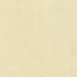 CALAVINO 052-10 Preview 3