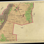 CAMPO 060-03.tif Preview 1