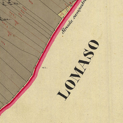 CAMPO 060-06.tif Preview 3