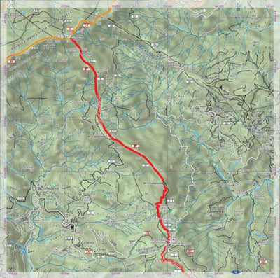 av5t_11_G.tif Preview 1