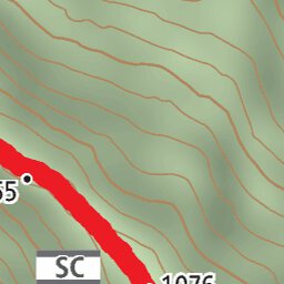 av5t_11_G.tif Preview 2