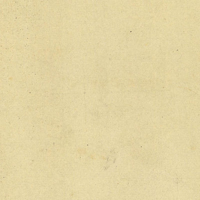 COGNOLA 108-08 Preview 2
