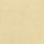 COGNOLA 108-06 Preview 2