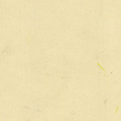 COGNOLA 108-04 Preview 3