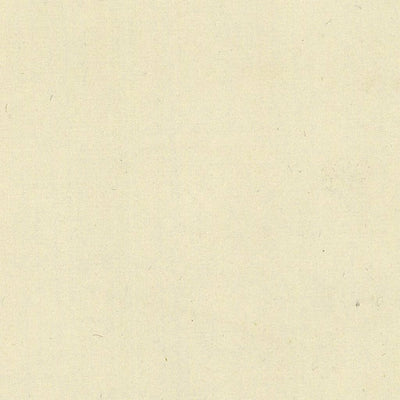 COVELO 119-08 Preview 2