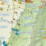 Bolgheri 2019 Vineyards Map Preview 2