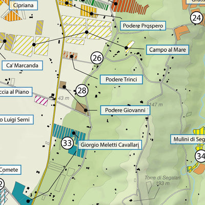 Bolgheri 2019 Vineyards Map Preview 2