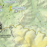 Bolgheri 2019 Vineyards Map Preview 3