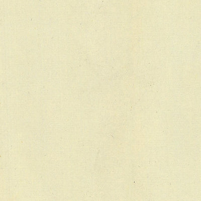 LASINO 183-13 Preview 2