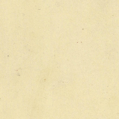 LAVIS 185-10 Preview 2