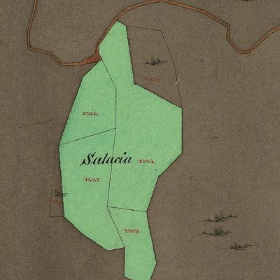 LASINO Mappa originale d'impianto del Catasto austro-ungarico. Scala 1:2880 Preview 3