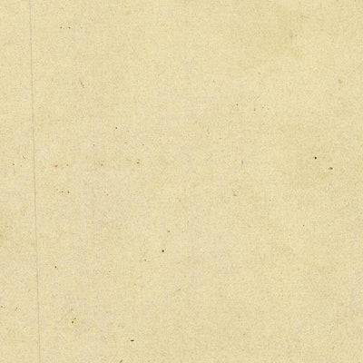LISIGNAGO 191-06 Preview 2