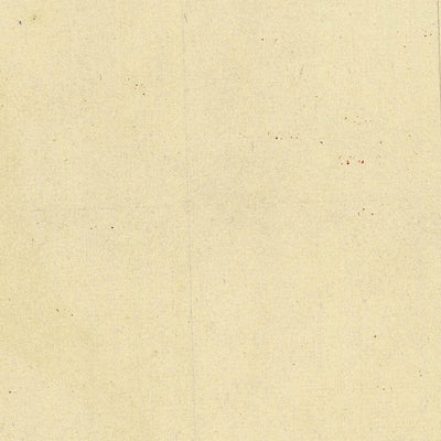 LISIGNAGO 191-04 Preview 2