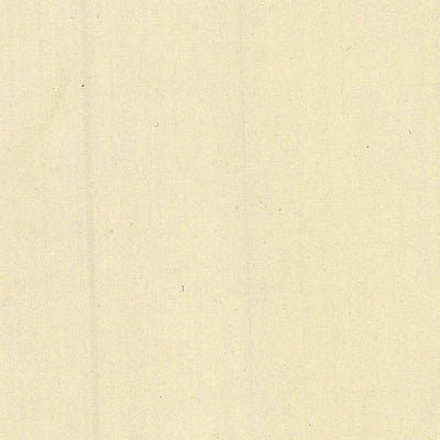 MOLINA 238-13 Preview 2