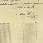 NOMI Mappa originale d'impianto del Catasto austro-ungarico. Scala 1:2880 Preview 3