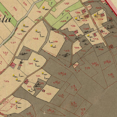 NOVALEDO 257-07 Preview 2