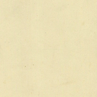 PILCANTE 279-05 Preview 2