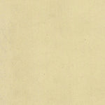 PILCANTE 279-07 Preview 2