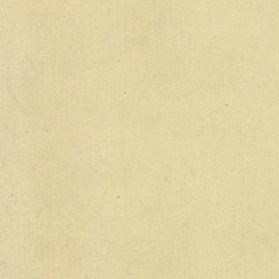 PILCANTE 279-07 Preview 2