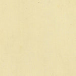 PIAZZO 283-03 Preview 2