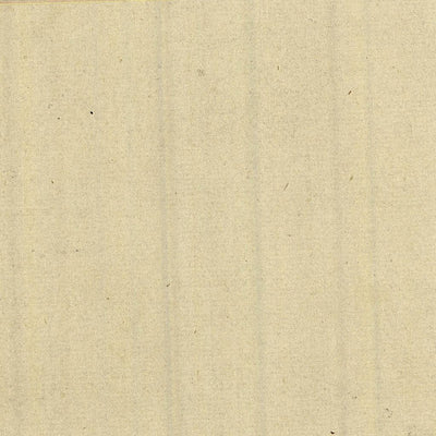 RAGOLI 301-11 Preview 3