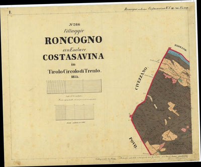 RONCOGNO 315-01 Preview 1