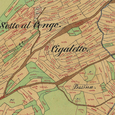 RONZO Mappa originale d'impianto del Catasto austro-ungarico. Scala 1:2880 Preview 3