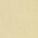 SEGONZANO 345-11 Preview 2