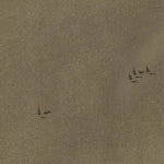 SPORMINORE 362-08 Preview 3