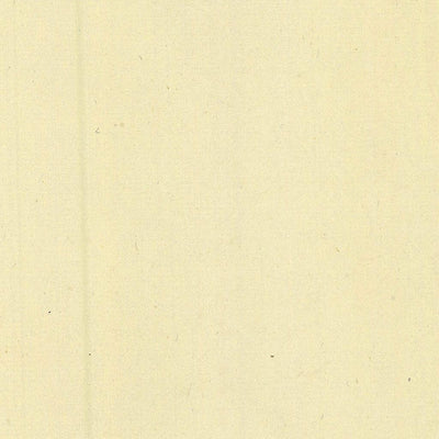 SPORMINORE 362-06 Preview 2