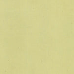 TRAMBILENO 404-32 Preview 2